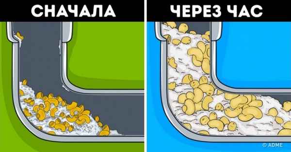 10 предметов, которые категорически запрещено выбрасывать в канализацию