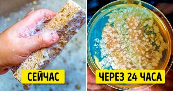 10 предметов, которые оказались гораздо грязнее, чем мы могли себе представить