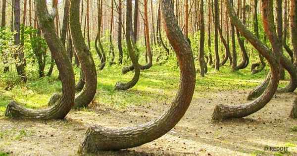 10 происшествий, которые делают Землю чертовски загадочным местом