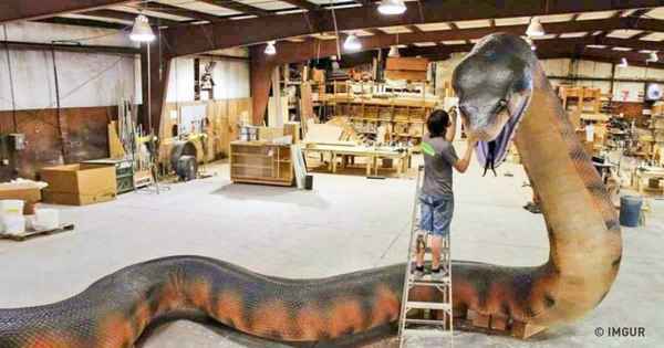 10 самых больших животных, которые когда-либо жили