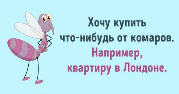10 хитростей против комаров