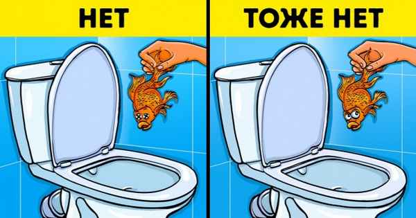 12 вещей, которые нельзя выбрасывать в канализацию, иначе проблем не избежать