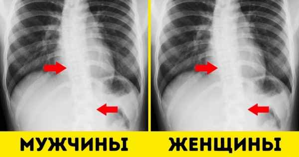 12 вещей, которыми природа наградила только мужчин