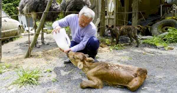 12 добрых поступков, которые согрели мир в 2015 году