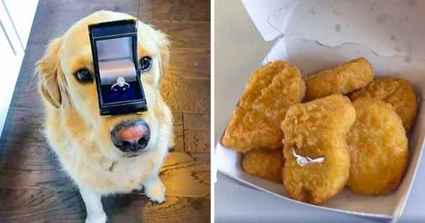 13 предложений руки и сердца, на которые можно ответить только «да»