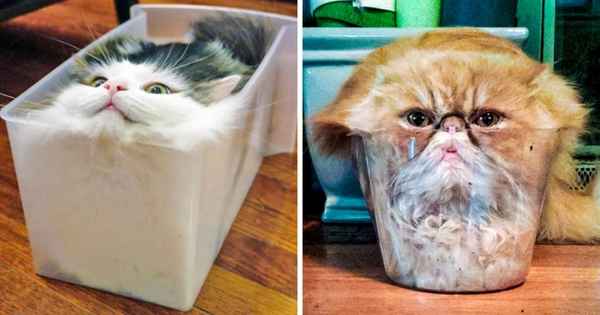 13 фактов, которые доказывают, что жизнь намного необычнее, чем мы привыкли думать