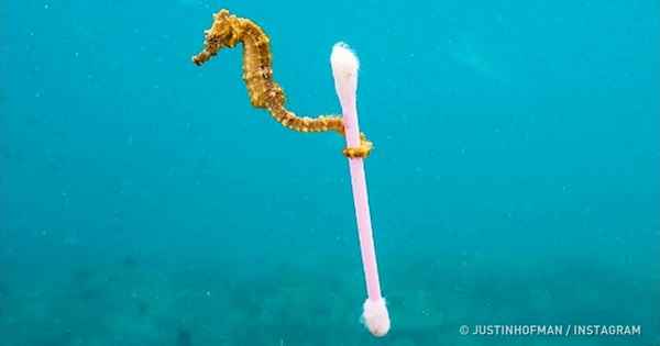 13 фотографий об отношениях человека и природы, после просмотра которых вы точно скажете: «Нужно что-то менять»