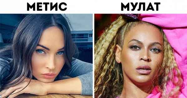 14 похожих, но разных вещей, которые хотя бы раз в жизни путал каждый из нас