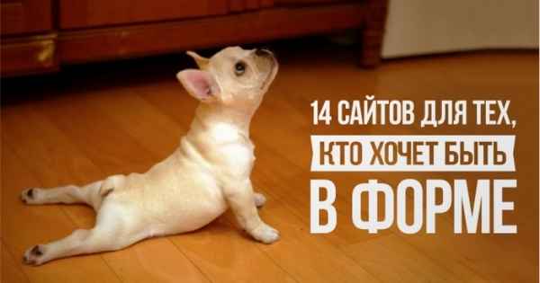 14 сайтов для тех, кто хочет быть в форме