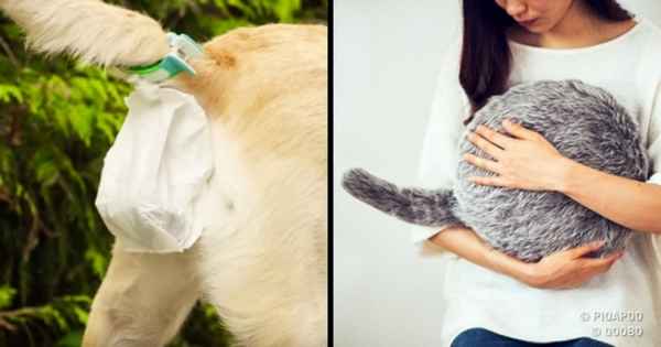 15 изобретений, которые делают наш мир отличным местом