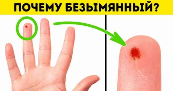 17 ответов на вопросы, которые вы хотели знать, но ленились гуглить