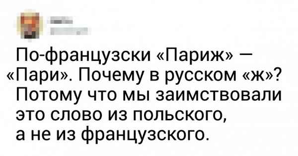 20 фактов о языках мира от лингвиста из Питера, у которой все в порядке с чувством юмора