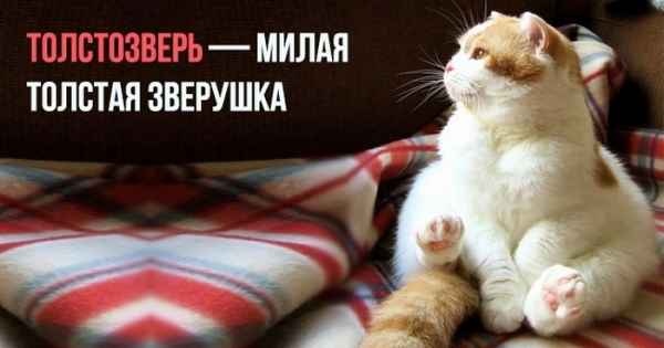 25 совершенно новых слов