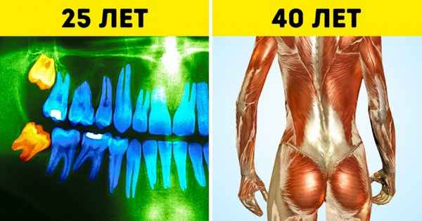26 неизбежных изменений в организме, которые мы можем наблюдать каждые 10 лет