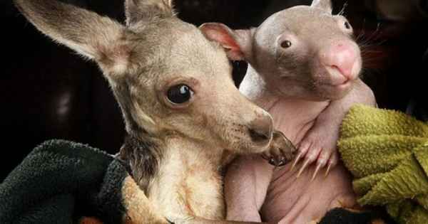 Добрый октябрь