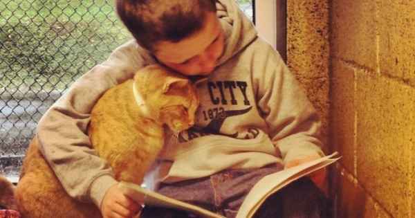 Добрый февраль