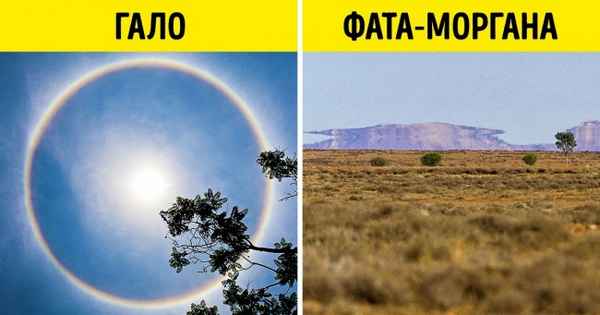 Думаете, это фотошоп? На самом деле природе есть чем вас удивить, и мы нашли тому доказательства