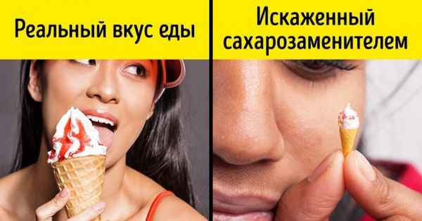 Если вы тоже тянетесь за упаковкой стевии вместо сахара, собранные нами факты будут очень кстати