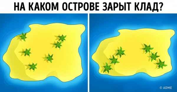 Загадка Зеленой Бороды, которая проверит, насколько развито ваше абстpaктное мышление