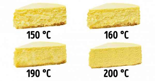 Известные фуд-блогеры поделились секретами мастерства, к которому они шли годами