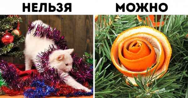 Как обезопасить елку от домашних животных, и наоборот (Никакого дождика и шоколадок)