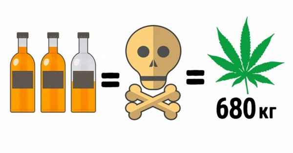 Какое количество 15 популярных продуктов может довести до cмepти