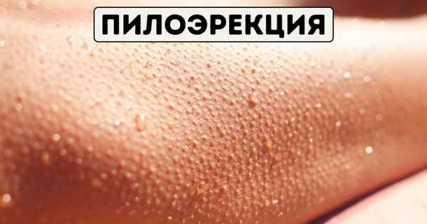 Мы думаем, что полностью контролируем свое тело, но есть функции, которые нам неподвластны