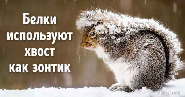 Мы собрали 16 добрых фактов, чтобы доказать: этот мир гораздо лучше, чем кажется