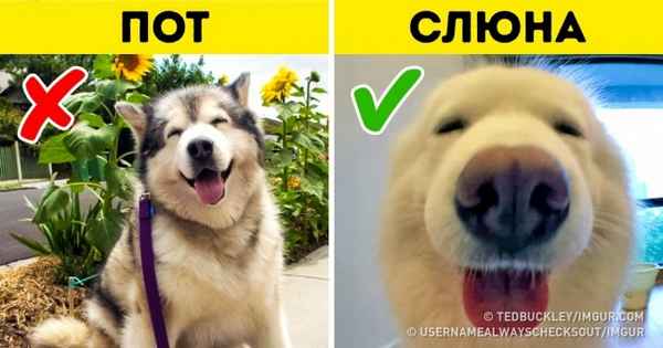 Наука разоблачила известные с детства убеждения, а нам теперь приходится с этим жить