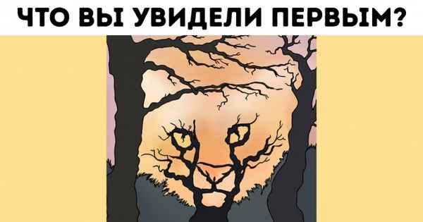 Первое изображение, которые вы увидите, расскажет самое главное о вашей личности