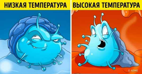 Статья, которая положит конец спорам о том, можно ли заболеть от холода