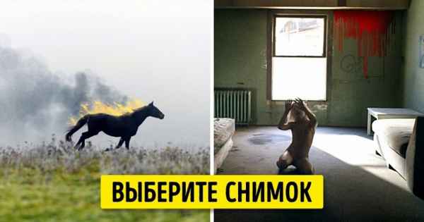 Тест: Кто из 9 культовых режиссеров на самом деле снимает вашу жизнь?