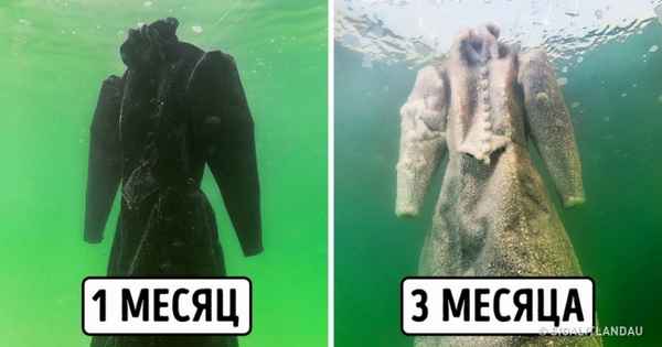 Художница на 3 месяца погружает старые вещи в Мертвое море, и они превращаются во что-то завораживающее