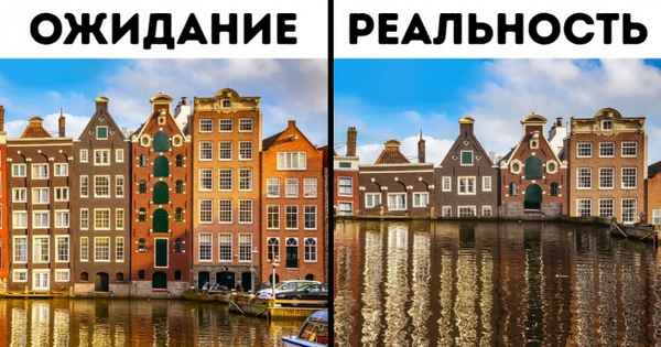 Что делать, если вы