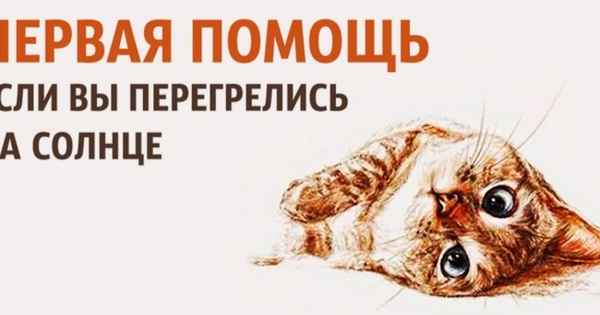 Что делать, если вы перегрелись на солнце