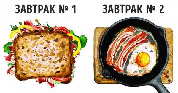 Что такое типы метаболизма и почему ваша подруга похудела на диете, а вы нет