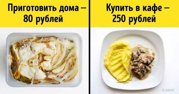 Я решил проверить, можно ли питаться целую неделю всего на 1 000 рублей