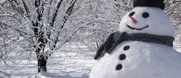 10 идей для зимних выходных