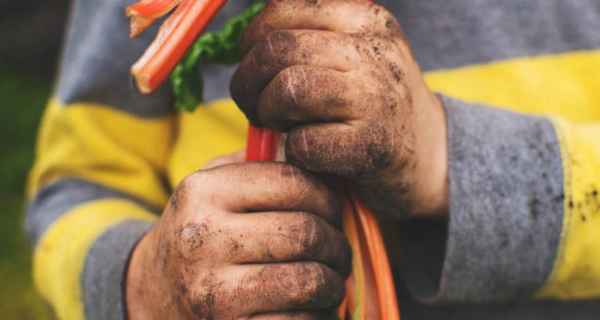 Почему не стоит растить детей в стерильности