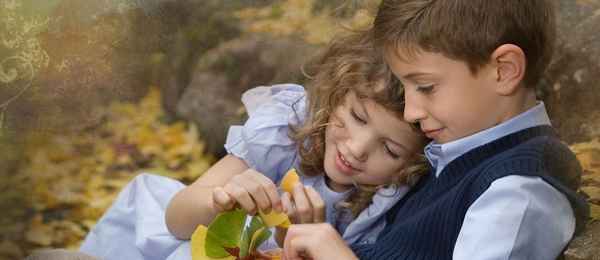 Рисуем золотые яблоки, или Расходящиеся круги познания