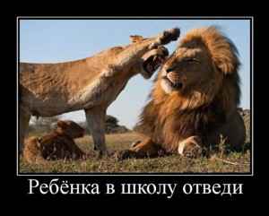 Строптивая жена - быть или не быть