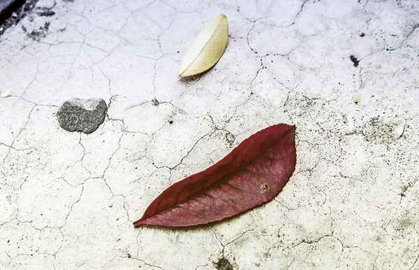 Увидеть смысл в ноябре