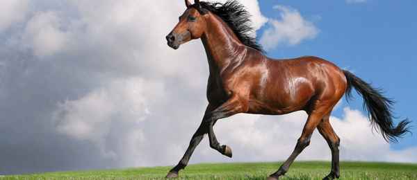 Заседание 136