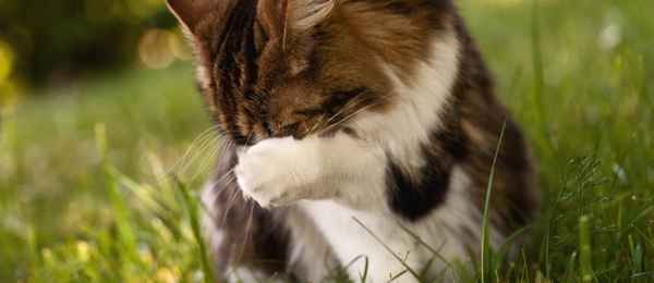 Заседание 131