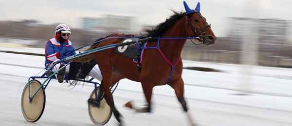 Заседание 146