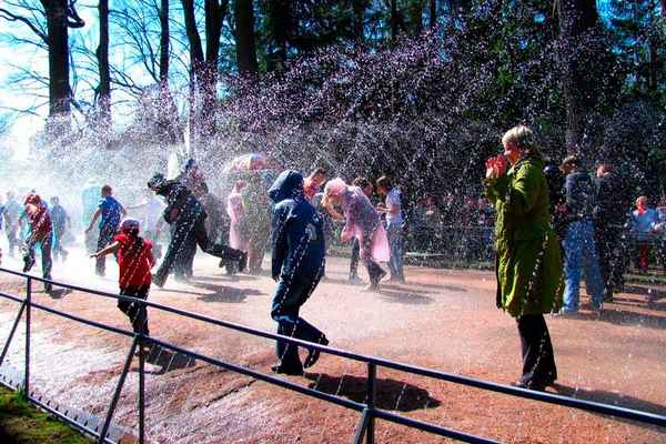 Фонтаны-шутихи в Петергофе: история, описание, фото
