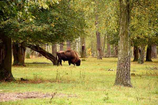 Куда поехать на майские праздники: список, описание