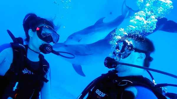 5 лучших страны для отдыха дайверов