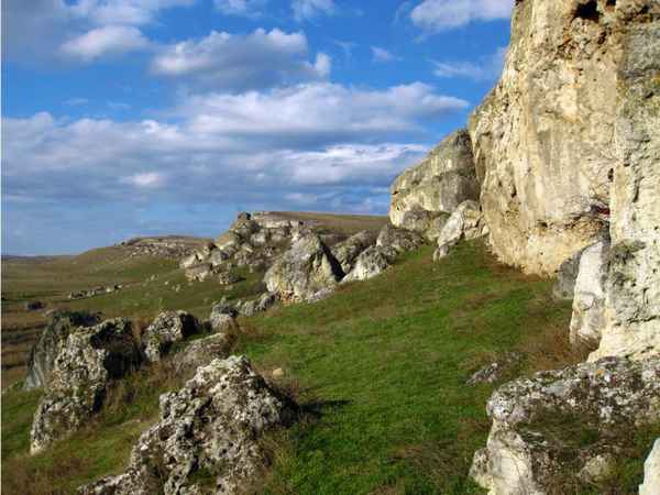 История Зуи