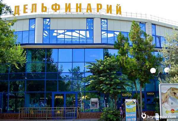 Дельфинарий в Евпатории
